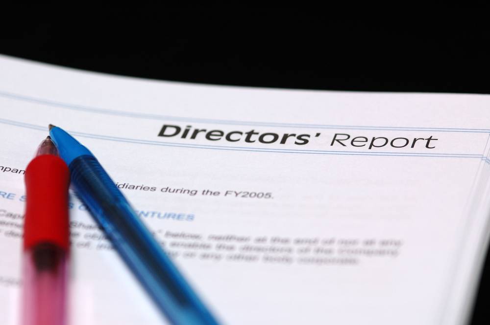 Directors-Report-Format